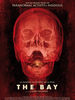 The_Bay